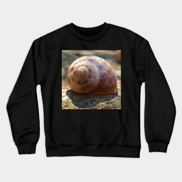 Brown Snail House Crewneck Sweatshirt by DesignMore21